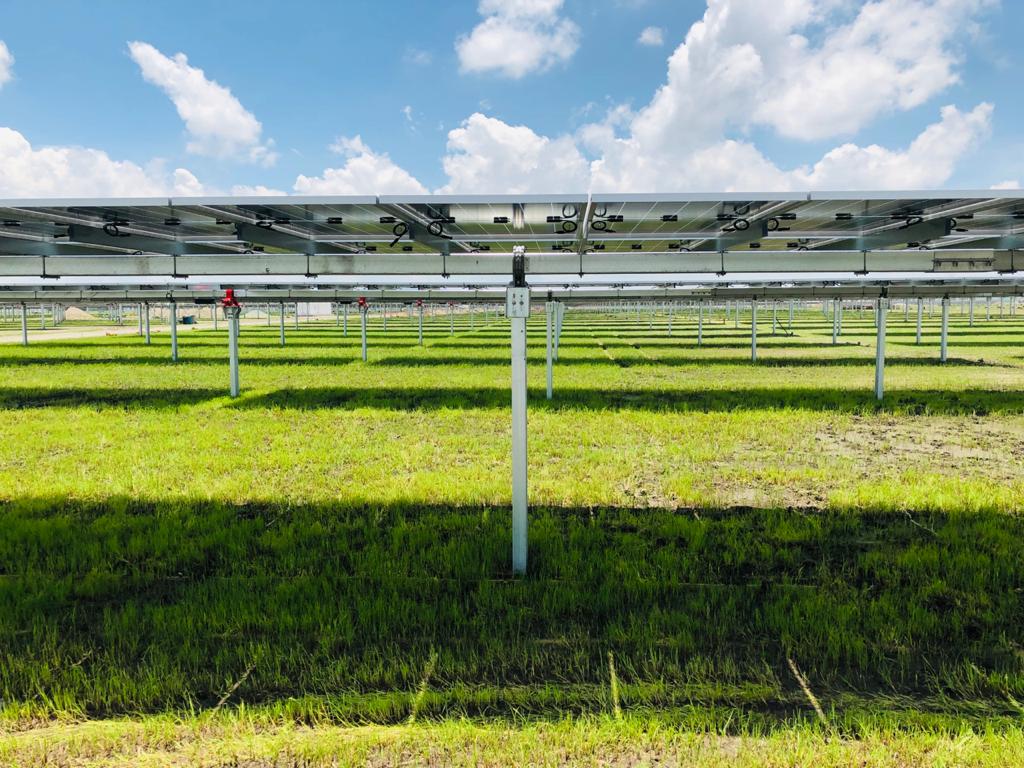 Trabajos de instalación de una planta fotovoltaica