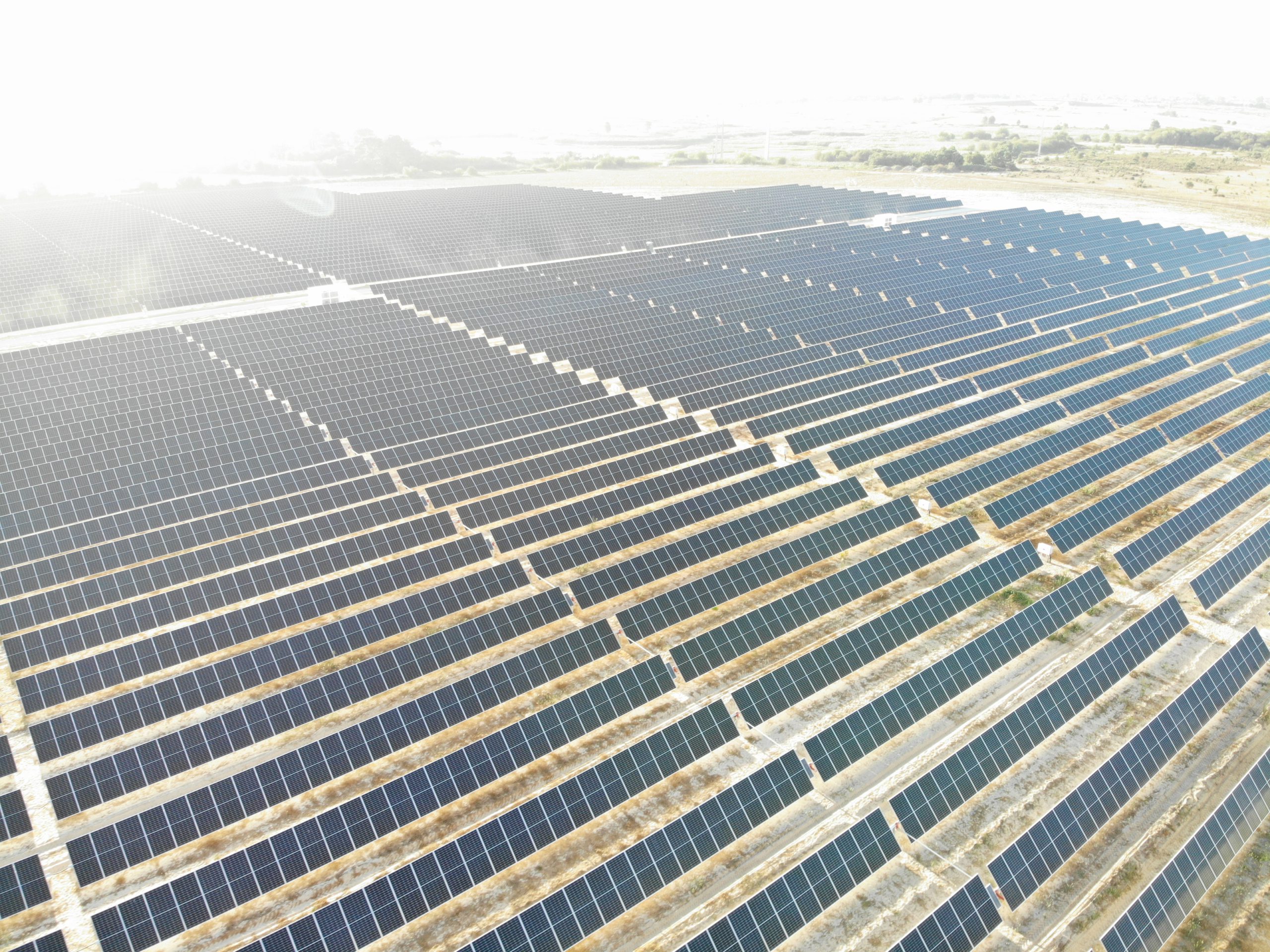 Proyecto fotovoltaico a gran escala con seguimiento solar