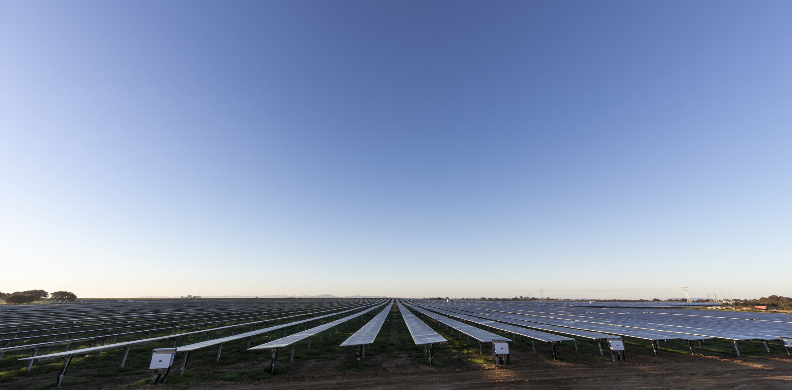 Placas fotovoltaicas en un proyecto solar con el cielo azul de fondo