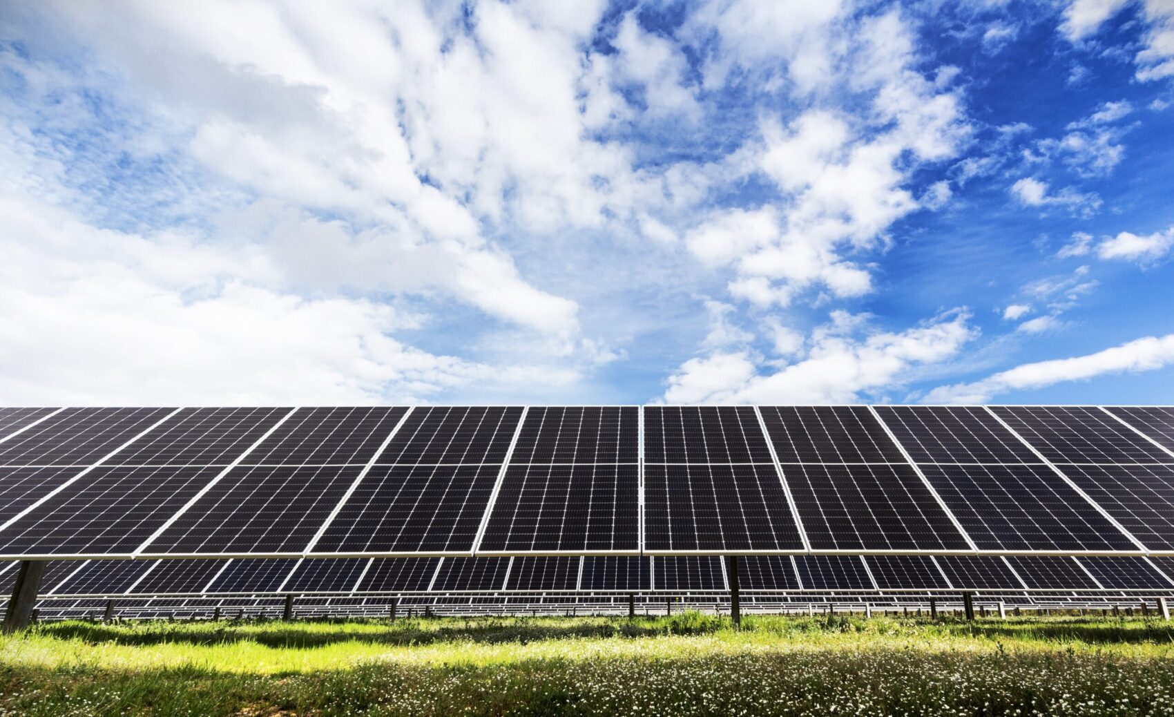 Photovoltaic plant with Soltec trackers
